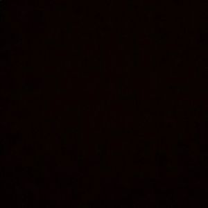 Meet your Posher, Damien